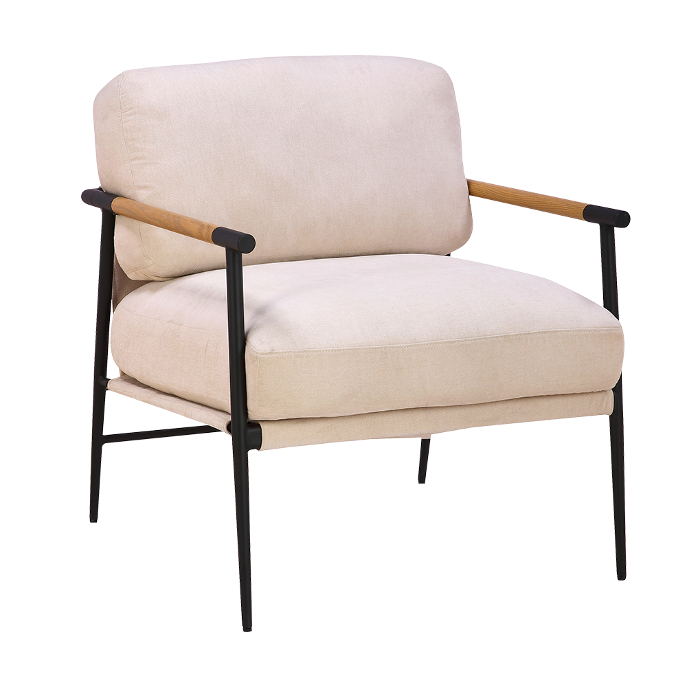 Ghế tạo điểm nhấn thiết kế cổ điển FR19005